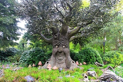 Sprookjesboom