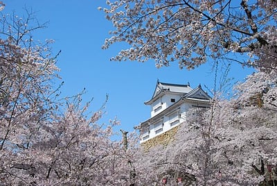 Tsuyama Castle Ruins