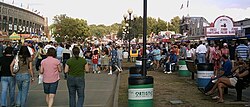 Iowa State Fair
