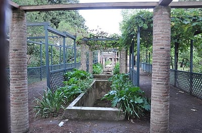 Regio II