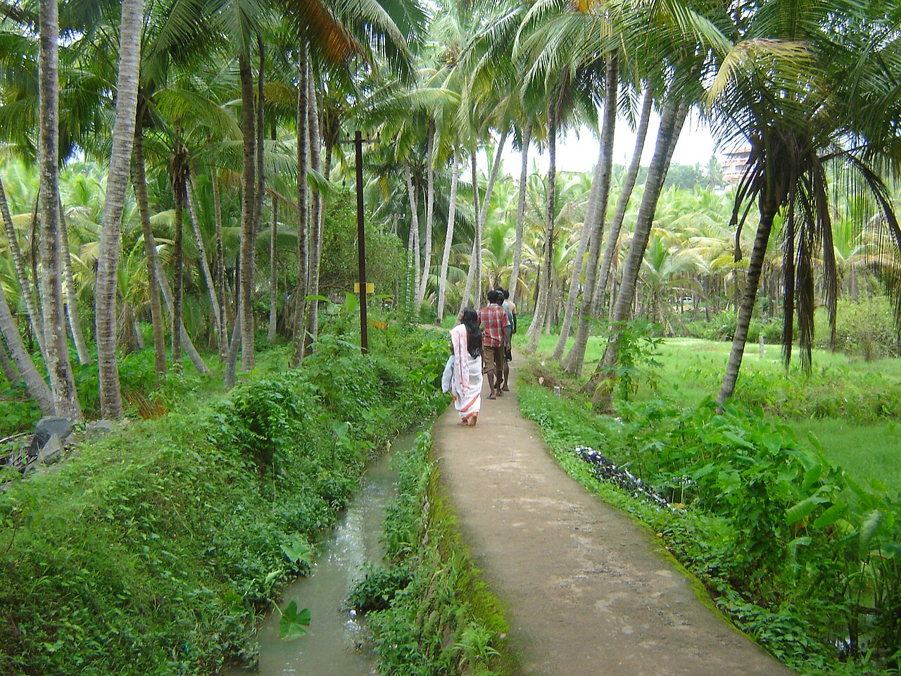 Kovalam, India