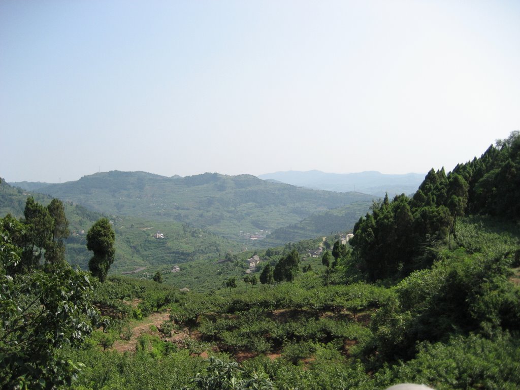 Longquanyi District, China