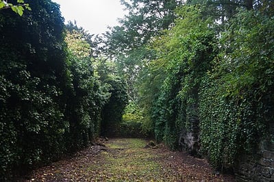 Magherabeg Abbey