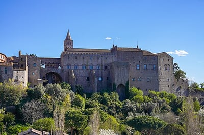 Palazzo dei Papi