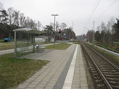 Prora