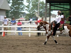 Wood County Fair