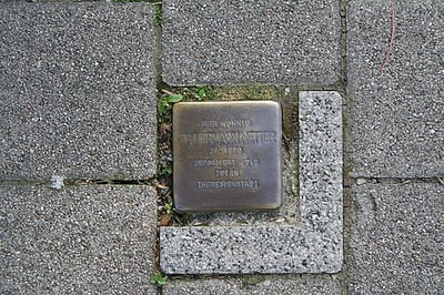 Dr. Hermann Netter