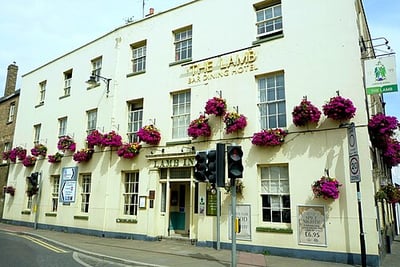 The Lamb