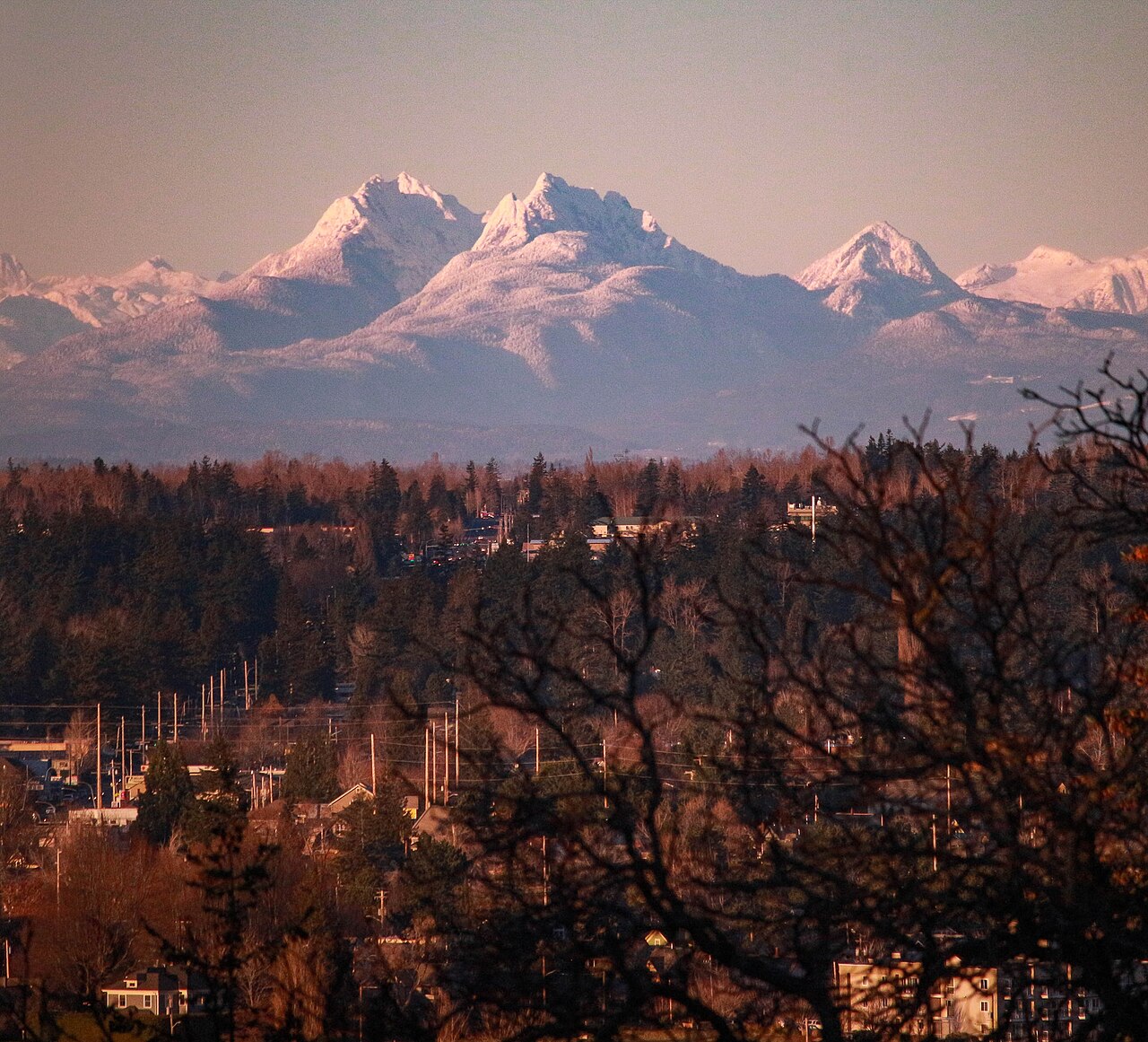 Bellingham, United States