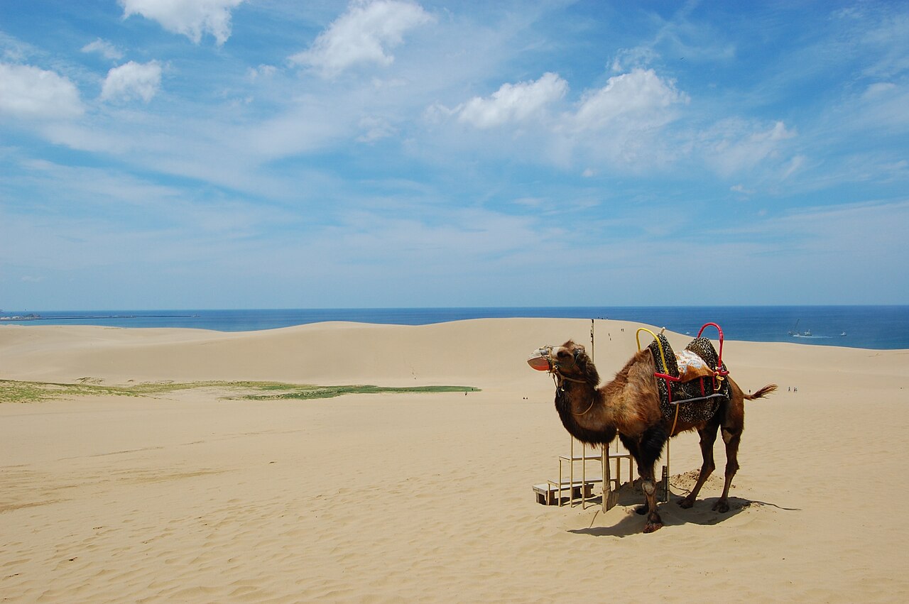 Tottori, Japan
