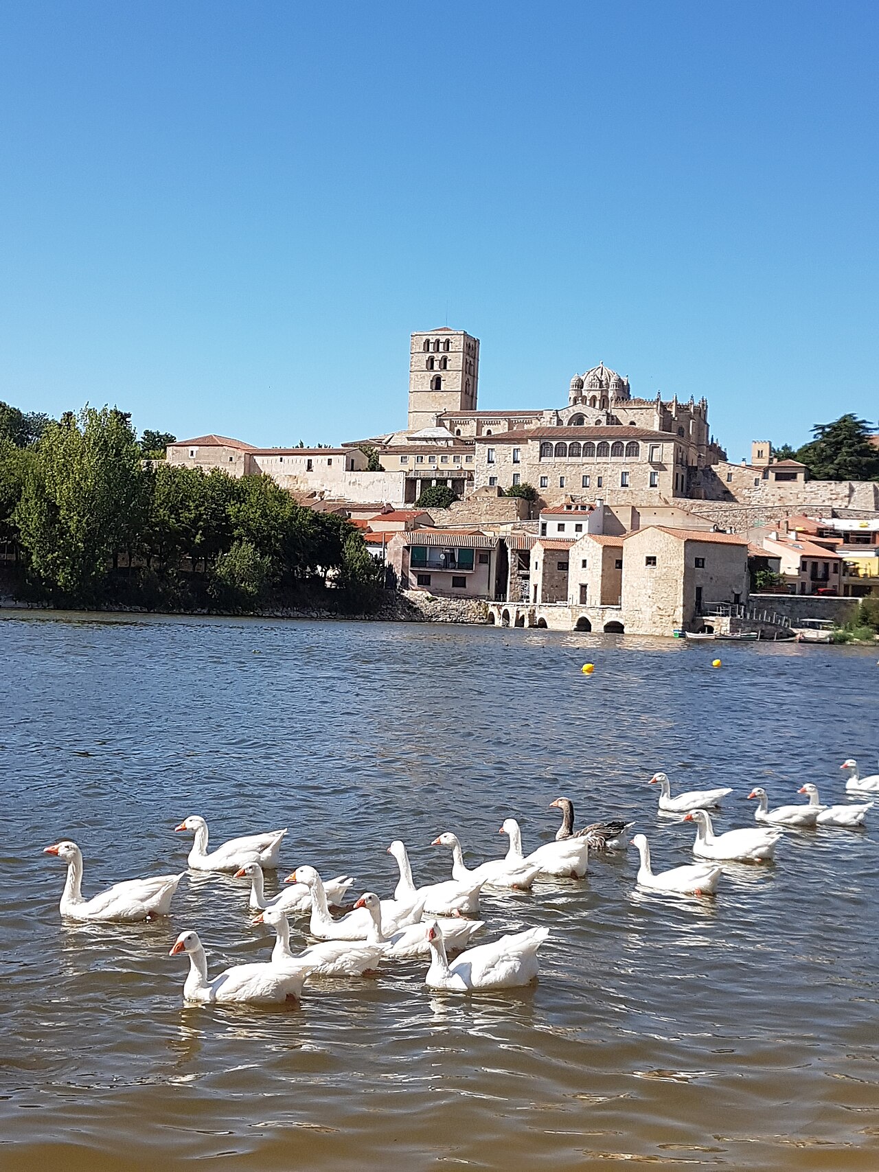 Zamora, Spain